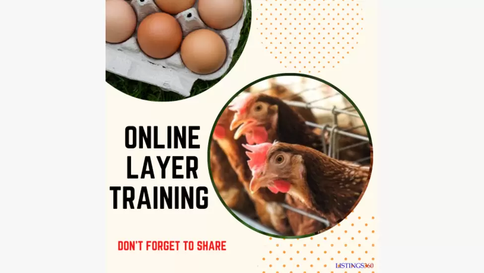 0ZK30 Online Layer Poultry Farming Training